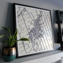 Lade das Bild in den Galerie-Viewer, Peterborough Street Carving Map (Sold Out)
