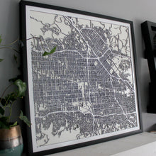 Lade das Bild in den Galerie-Viewer, San Fernando Valley Street Carving Map (Sold Out) (4363399692403)
